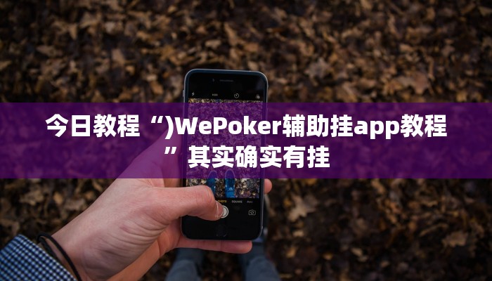 今日教程“aapoker透视挂开挂”其实确实有挂