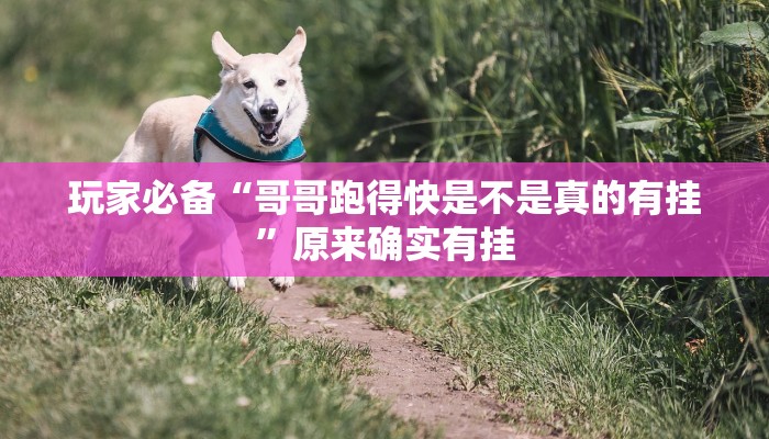 辅助开挂神器“四季湖南麻将有挂吗可以开挂吗”开挂(透视)辅助教程