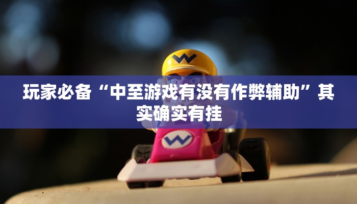 玩家必备“打哈儿麻将外卦神器”原来确实有挂 玩家必备“打哈儿麻将外卦神器”原来确实有挂