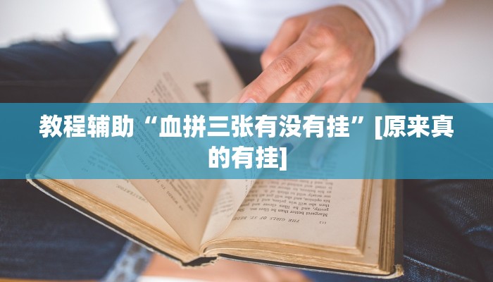 辅助神器“大头十三水开挂辅助器”![果然有透视挂]