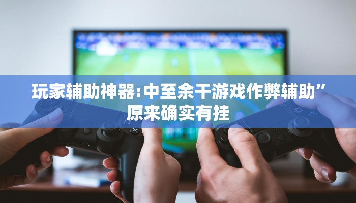 玩家必备“西八一字牌辅助神器”原来确实有挂 玩家必备“西八一字牌辅助神器”原来确实有挂