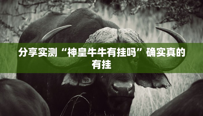 万能开挂辅助“七千在线可以开挂吗”详细分享装挂步骤教程 万能开挂辅助“七千在线可以开挂吗”详细分享装挂步骤教程