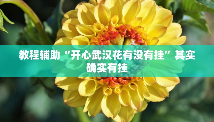 分享实测“皮皮跑胡子开挂神器”确实真的有挂 分享实测“皮皮跑胡子开挂神器”确实真的有挂
