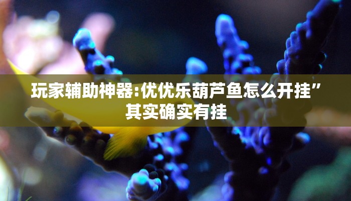 玩家必备“黄金海岸麻将可以开挂吗”原来确实有挂 玩家必备“黄金海岸麻将可以开挂吗”原来确实有挂