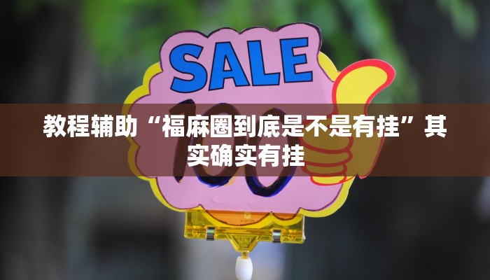 玩家辅助神器:新版wepoker透视”原来确实有挂