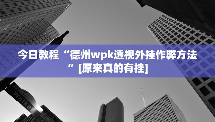玩家辅助神器:手中畅游辅助专用神器”其实确实有挂 玩家辅助神器:手中畅游辅助专用神器”其实确实有挂
