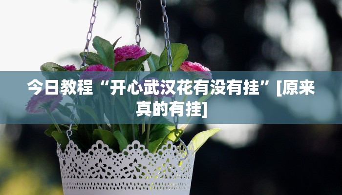 分享实测“云龙干瞪眼麻将开卦神器”确实真的有挂 分享实测“云龙干瞪眼麻将开卦神器”确实真的有挂