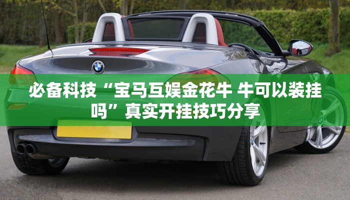 玩家辅助神器:兴动互娱最强辅助神器”其实确实有挂