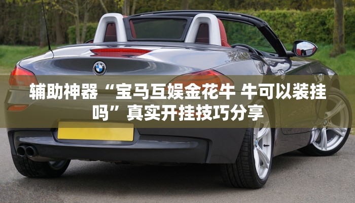 辅助神器“德 娴麻将怎么开挂”![果然有透视挂]