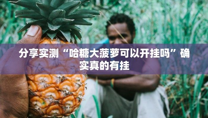 辅助开挂神器“好运休闲辅助”开挂(透视)辅助教程