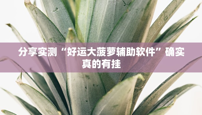 辅助神器“17麻将辅助器免费安装”![果然有透视挂]