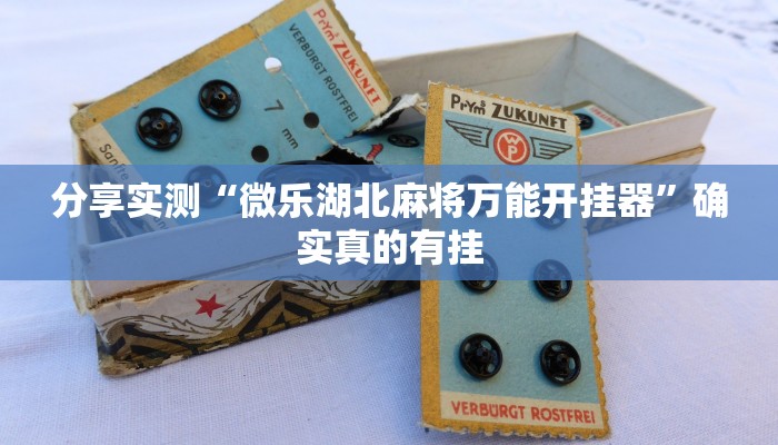 教程开挂辅助“老友十三水外卦”开挂(透视)辅助教程 教程开挂辅助“老友十三水外卦”开挂(透视)辅助教程