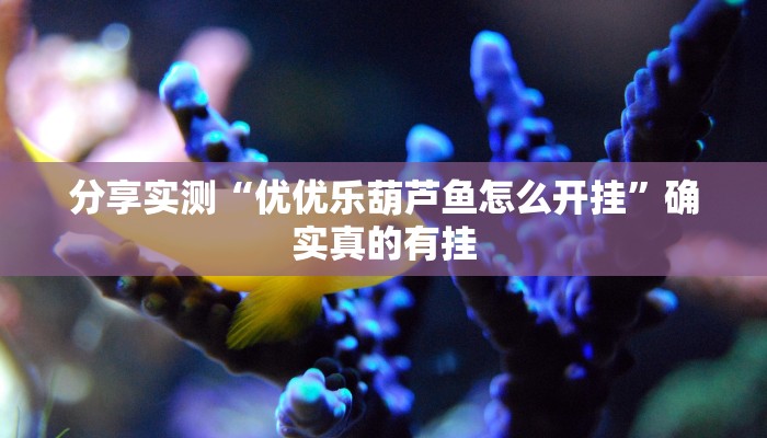 教程分享“微乐跑胡子透视辅助挂”详细开挂玩法