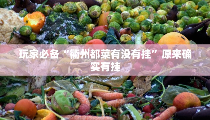 辅助开挂神器“达人十三水怎么开挂”开挂(透视)辅助教程