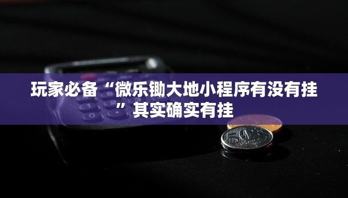 实测教程”衢州都莱怎么提高胜率”详细分享装挂步骤教程