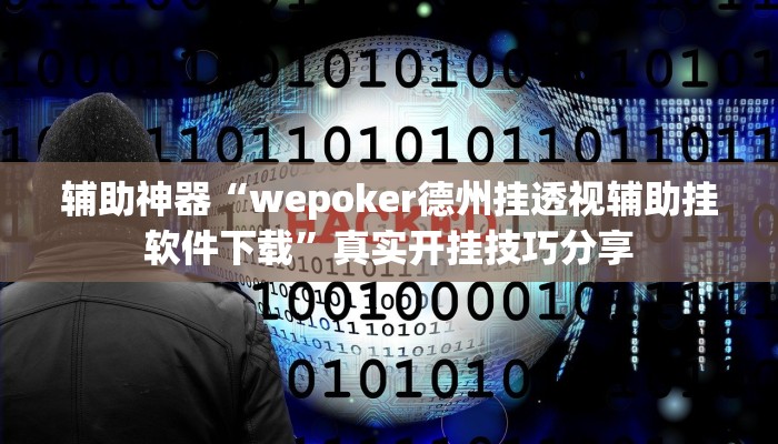 辅助神器“丽水跑得快有挂”![果然有透视挂]