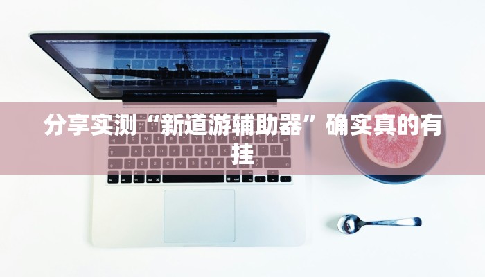 分享实测“新道游辅助器”确实真的有挂