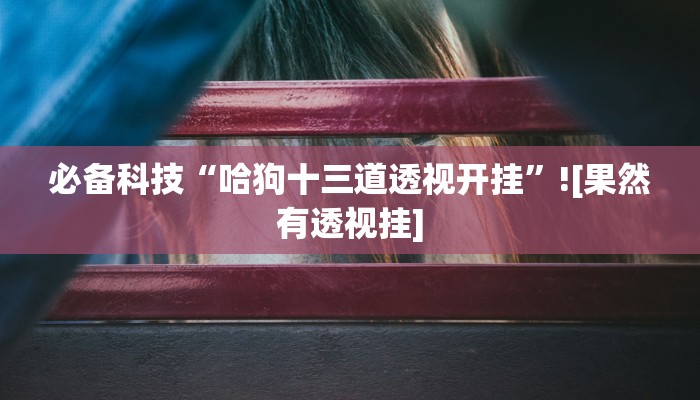 必备科技“哈狗十三道透视开挂”![果然有透视挂]
