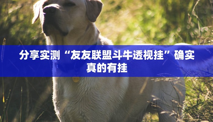 分享实测“友友联盟斗牛透视挂”确实真的有挂 分享实测“友友联盟斗牛透视挂”确实真的有挂