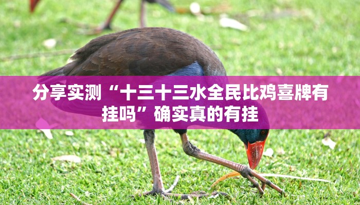 分享实测“十三十三水全民比鸡喜牌有挂吗”确实真的有挂 分享实测“十三十三水全民比鸡喜牌有挂吗”确实真的有挂