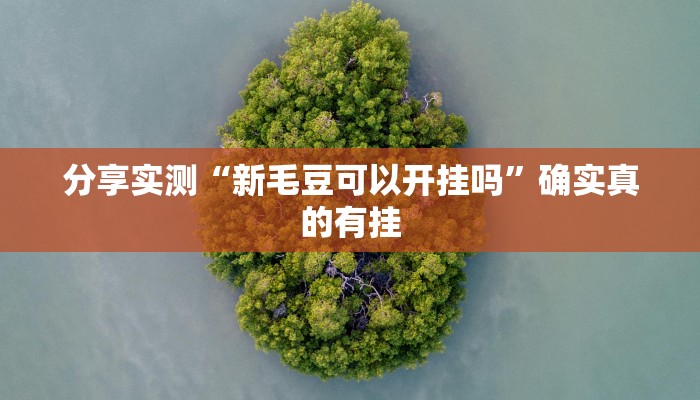 分享实测“新毛豆可以开挂吗”确实真的有挂