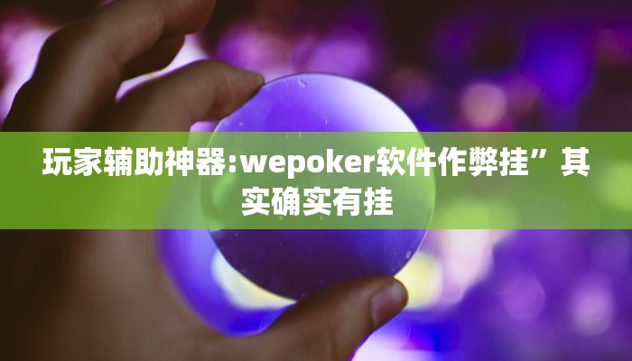 玩家辅助神器:wepoker软件作弊挂”其实确实有挂