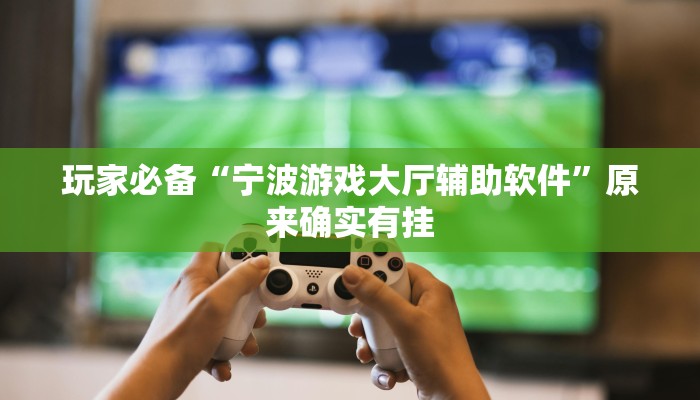 玩家必备“宁波游戏大厅辅助软件”原来确实有挂 玩家必备“宁波游戏大厅辅助软件”原来确实有挂