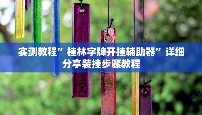 实测教程”桂林字牌开挂辅助器”详细分享装挂步骤教程 实测教程”桂林字牌开挂辅助器”详细分享装挂步骤教程