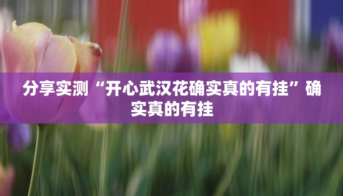 分享实测“开心武汉花确实真的有挂”确实真的有挂 分享实测“开心武汉花确实真的有挂”确实真的有挂