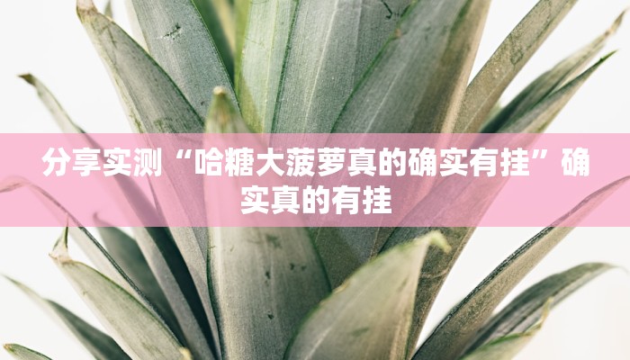 分享实测“哈糖大菠萝真的确实有挂”确实真的有挂 分享实测“哈糖大菠萝真的确实有挂”确实真的有挂