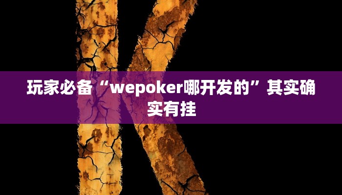 玩家必备“wepoker哪开发的”其实确实有挂 玩家必备“wepoker哪开发的”其实确实有挂