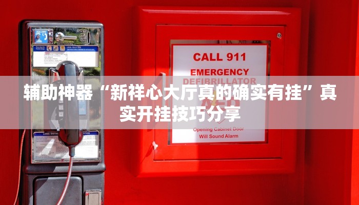 辅助神器“新祥心大厅真的确实有挂”真实开挂技巧分享 辅助神器“新祥心大厅真的确实有挂”真实开挂技巧分享