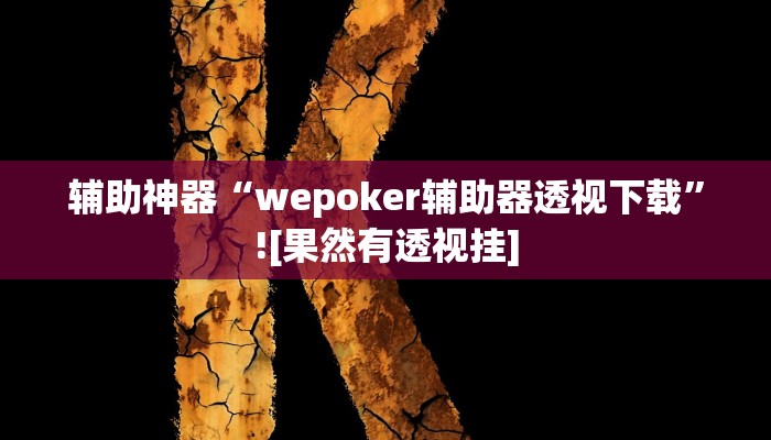 辅助神器“wepoker辅助器透视下载”![果然有透视挂]