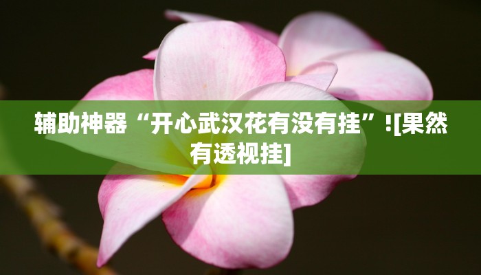 辅助神器“开心武汉花有没有挂”![果然有透视挂]