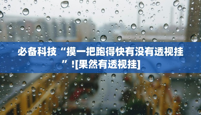 必备科技“摸一把跑得快有没有透视挂”![果然有透视挂]
