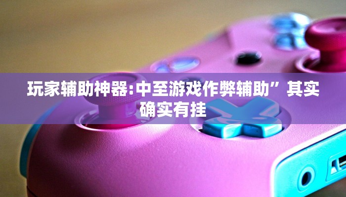 玩家辅助神器:中至游戏作弊辅助”其实确实有挂 玩家辅助神器:中至游戏作弊辅助”其实确实有挂