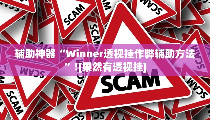 辅助神器“Winner透视挂作弊辅助方法”![果然有透视挂]