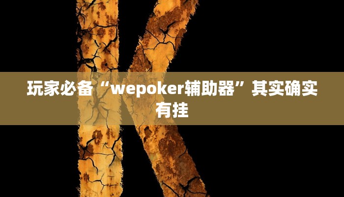 玩家必备“wepoker辅助器”其实确实有挂