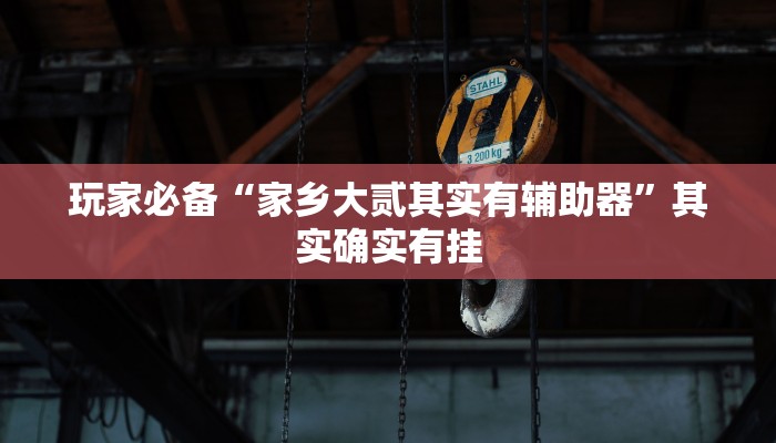 玩家必备“家乡大贰其实有辅助器”其实确实有挂