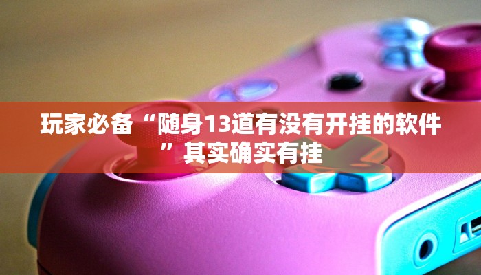 玩家必备“随身13道有没有开挂的软件”其实确实有挂