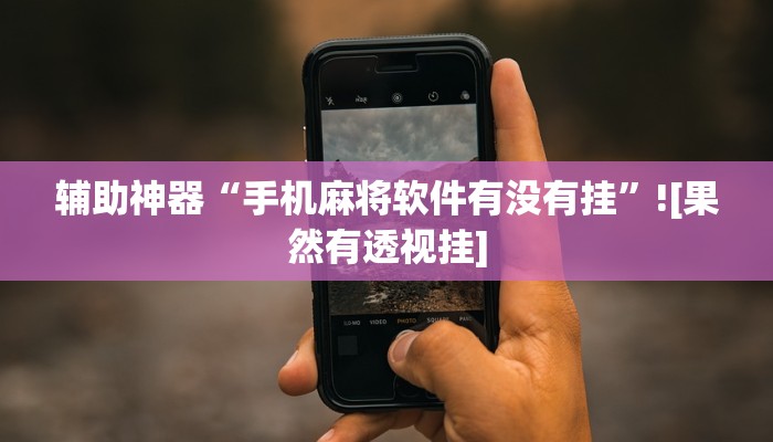 辅助神器“手机麻将软件有没有挂”![果然有透视挂]