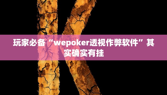 玩家必备“wepoker透视作弊软件”其实确实有挂