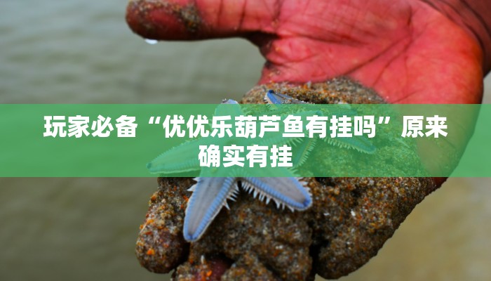 玩家必备“优优乐葫芦鱼有挂吗”原来确实有挂