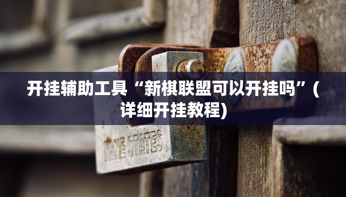 开挂辅助工具“新棋联盟可以开挂吗”(详细开挂教程)