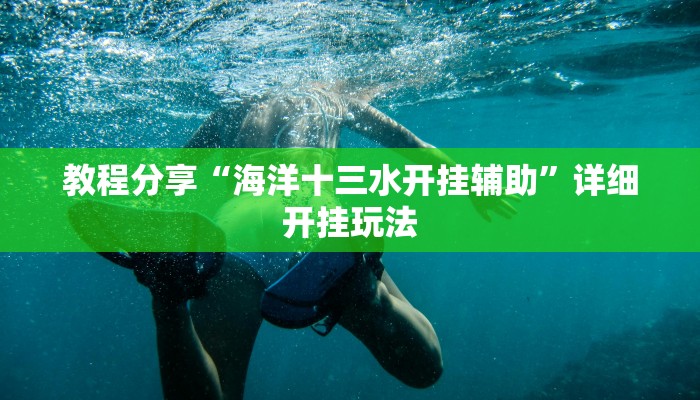 教程分享“海洋十三水开挂辅助”详细开挂玩法