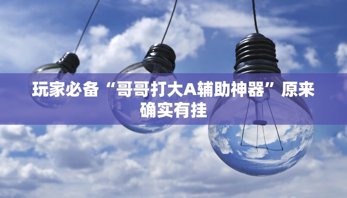 玩家必备“哥哥打大A辅助神器”原来确实有挂