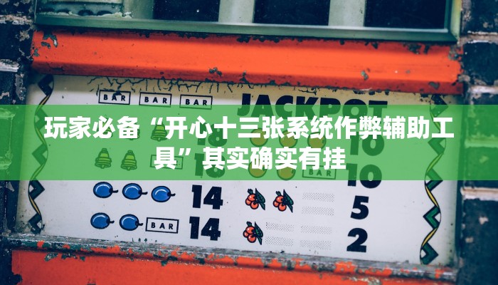 玩家必备“开心十三张系统作弊辅助工具”其实确实有挂