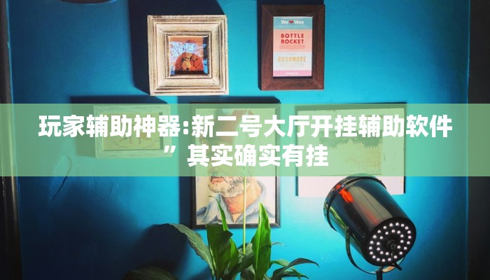 玩家辅助神器:新二号大厅开挂辅助软件”其实确实有挂