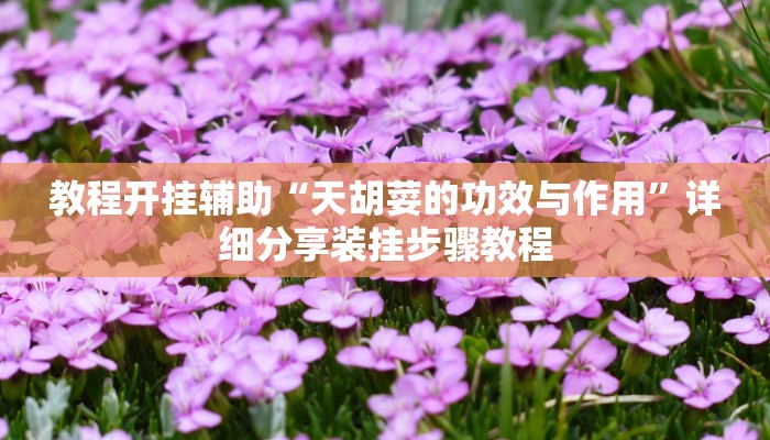 教程开挂辅助“天胡荽的功效与作用”详细分享装挂步骤教程