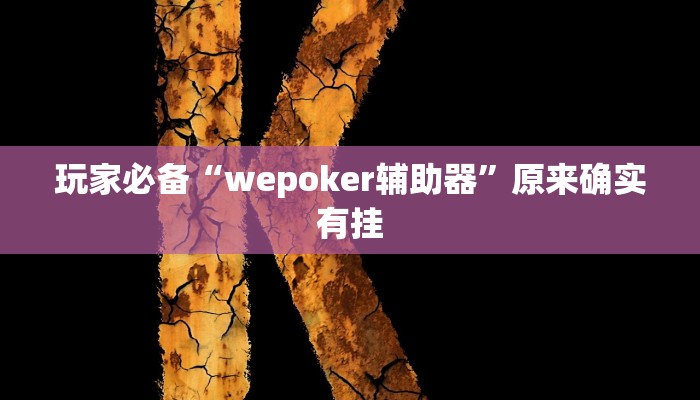 玩家必备“wepoker辅助器”原来确实有挂